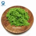 Organic Vegetable Powder Celery Juice Powder/Celery Powder