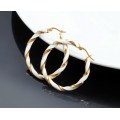 Stainless steel gold Circle hoop earring with enamel