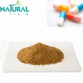 buy factory dried ginger extract powder