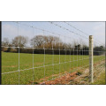 High Quality Field Fence