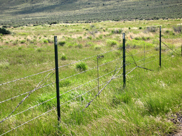 barbed wire application