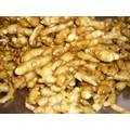 export to middle east market Fresh ginger