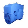 High Efficient Continuous Power 400V IP55 Generator