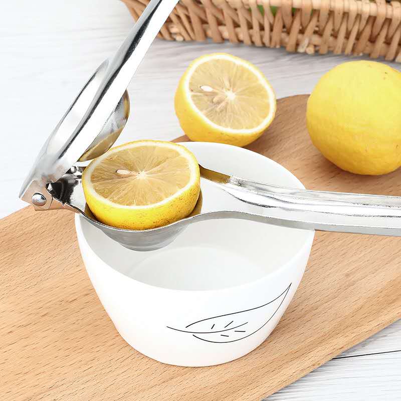 Elegant Stainless Steel Citrus Juicer