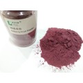 Factory Supply bilberry fruit powder