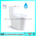 Hot Sale One Piece Water Saving Toilet American Standard