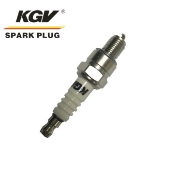 Small Engine Double Iridium Spark Plug D-CR5HIX.