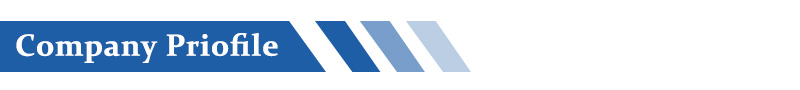 Company Profile Company Profile