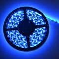 DC12V / 24V SMD5050 Blue LED Strip (60LEDs / M)