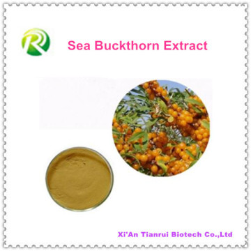 High Quality 100% Natural Sea Buckthorn Extract