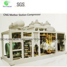 China-Fabrik-Preis CNG Mutter-Station-Erdgas-Kompressor