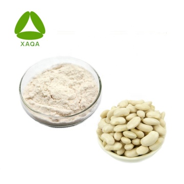 Pure natural Phaseollin Powder From White Kidney Bean Extract Used For Capsules