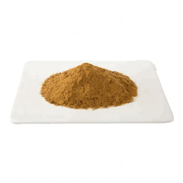 Ginger Root Extract Powder