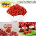 Musgo orgânico Wolfwi Organic Goji