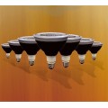 Wasserdicht / RGB / Bluetooth Dimmable PAR38 Scheinwerfer für Outdoor