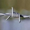 Hot Dipped Galvanized Military Bulk Barbed Wire