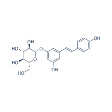 Polydatin 65914-17-2