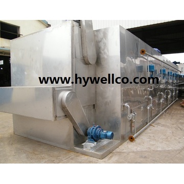 New Design Peanut Kernel Belt Type Dryer