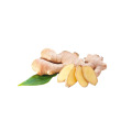 Ginger Extract Gingerols Powder5%