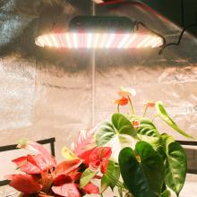 Éclairage professionnel Usine imperméable 100W LED Grow Light