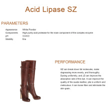 Sunson Acid Lipase SZ for leather industrial