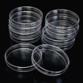 Different Sizes Plastic Petri Dishes For Growing Bacteria