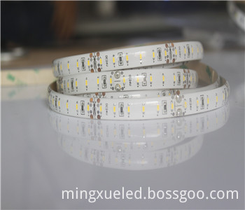 SMD3014 led strip Light