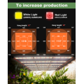 Hydroponic System Growing Led Light for Vertical Garden