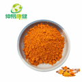 Herbal extract Curcumin 95% Turmeric root extract