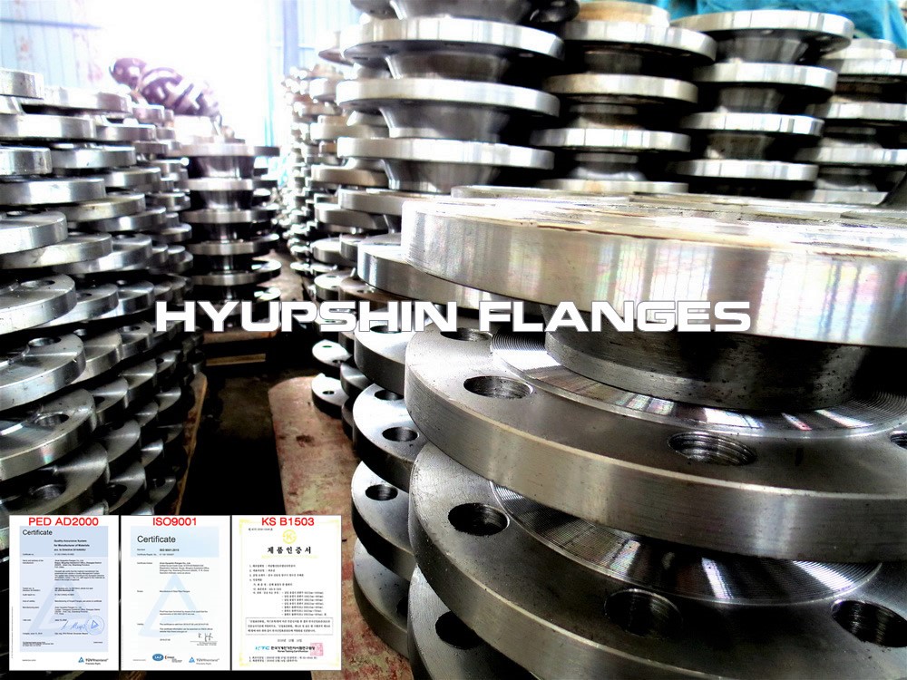 Hyupshin Flanges Din2633 2632 Wnrf