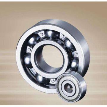 6007 Single Row Deep Groove Ball Bearing