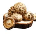 Frischer Gemüse-Blumen-Shiitake-Pilz