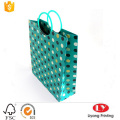 Luxury paper gift bag with plastic handle