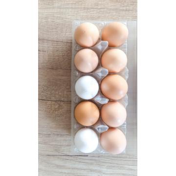 PVC blister packaging plastic egg blister tray