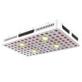 2000w Cob Full Spectrum LED Grow Light