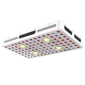 2000w Cob Full Spectrum LED élèvent la lumière