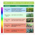 Plante poussez les lumières de la bande de LED de spectre complet