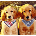 Bandana pour chien de coton biologique