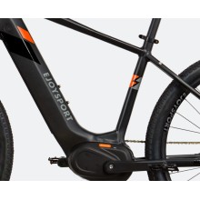 Customized Specialized Electric Mountain Bike