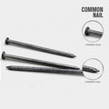 Professioneller Preis von Common Iron Nail aus China