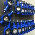 Lug Type Butterfly Valve-Gg25 Body