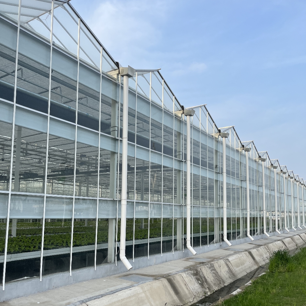 Steeple PC Greenhouse Steeple PC Greenhouse