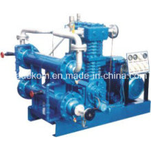 Explosive Piston Type Liquefied Petroleum Gas LPG Compressor (KZW0.6/8-12)