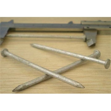 Hot Galvanized Common Nails