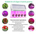 Systèmes hydroponiques Veg / Bloom Hydroponics LED augmente la lumière