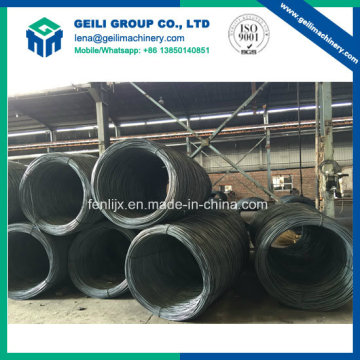 Hot Rolled Wire Rod in Coil