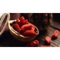 Organische chinesische Goji-Beere, chinesische Wolfberry, traditionelle chinesische Medizin