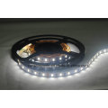 Super Brilho SMD5630 300LEDs CRI80 DC24V Pura Branco LED Strip