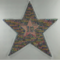 colorful sequin embroidery star patch