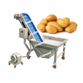 Automatic salad vegetables processing line